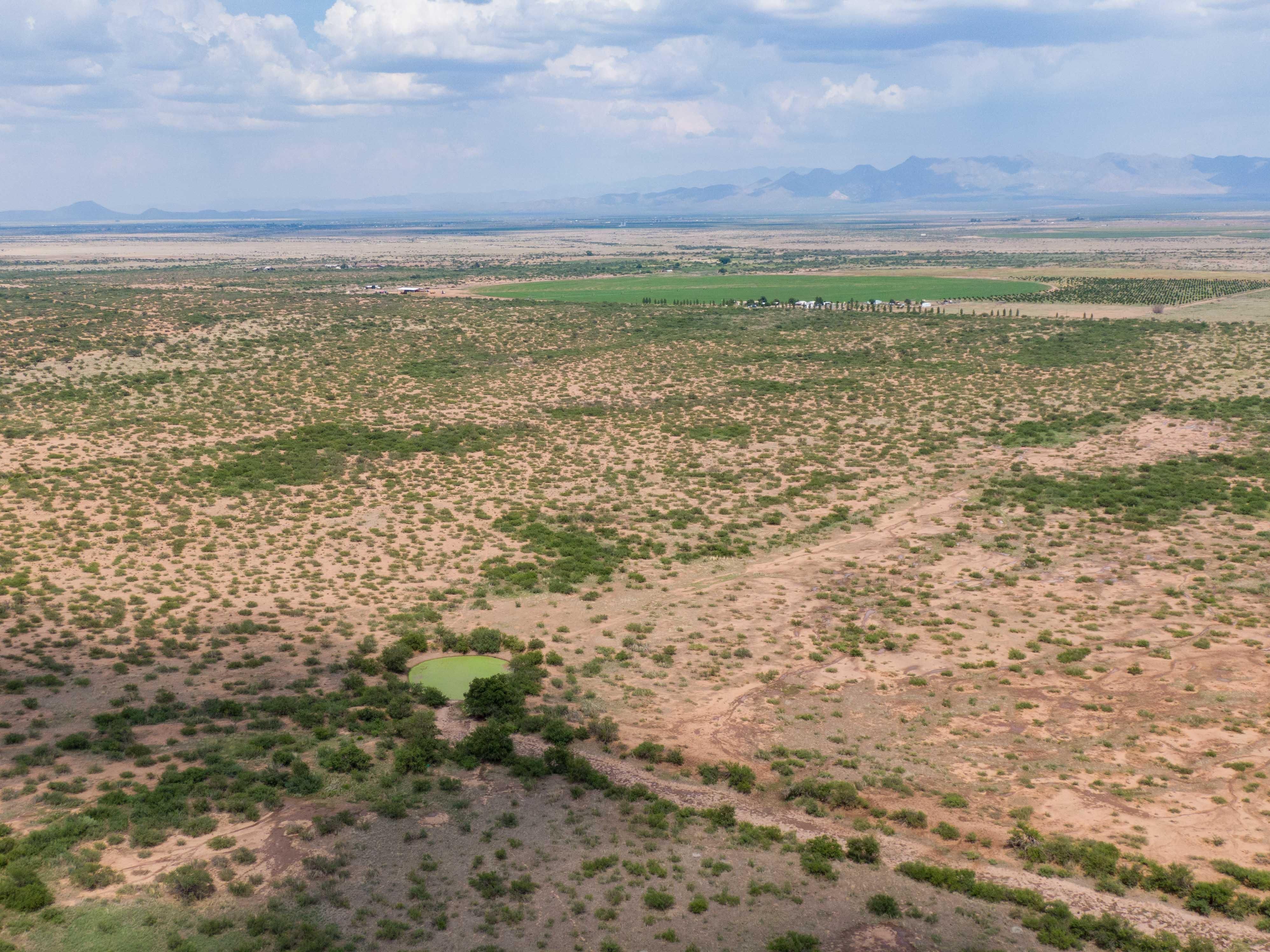 Mcneal, Cochise County, AZ Farms and Ranches, Undeveloped Land, Horse