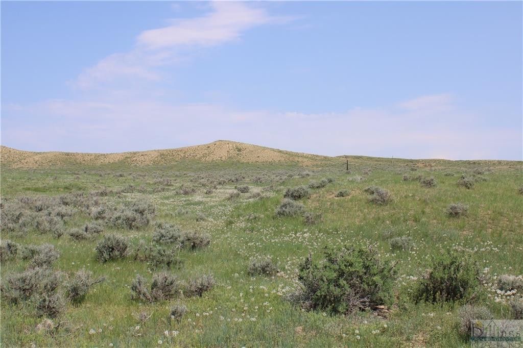 Ryegate, Golden Valley County, MT Undeveloped Land for sale Property ID