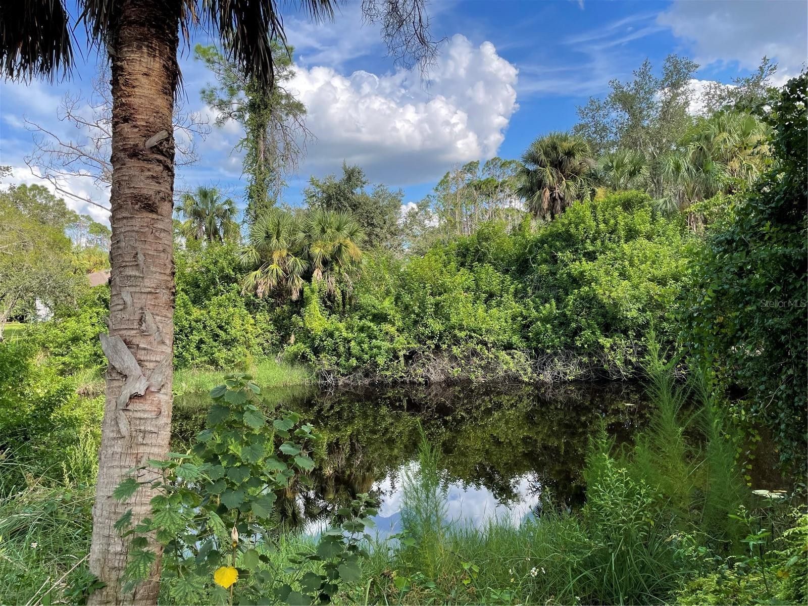 North Port, Sarasota County, FL Undeveloped Land, Lakefront Property