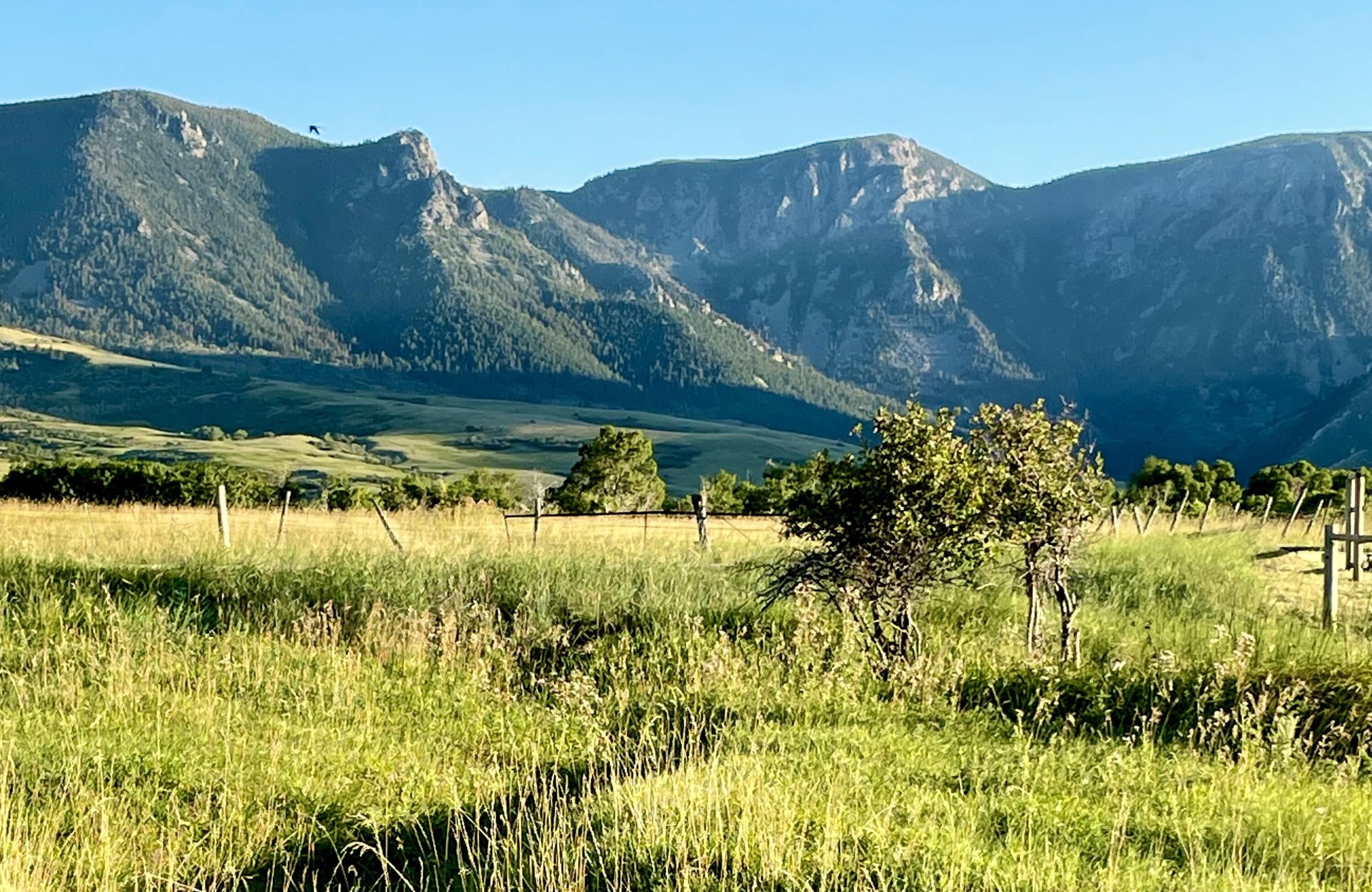 Big Horn, Sheridan County, WY for sale Property ID 417580199 LandWatch