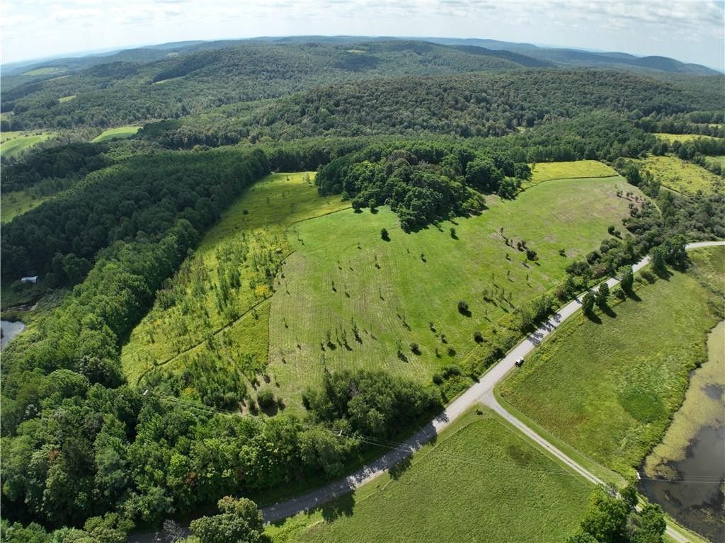Burlington Flats, Otsego County, NY Undeveloped Land for sale Property