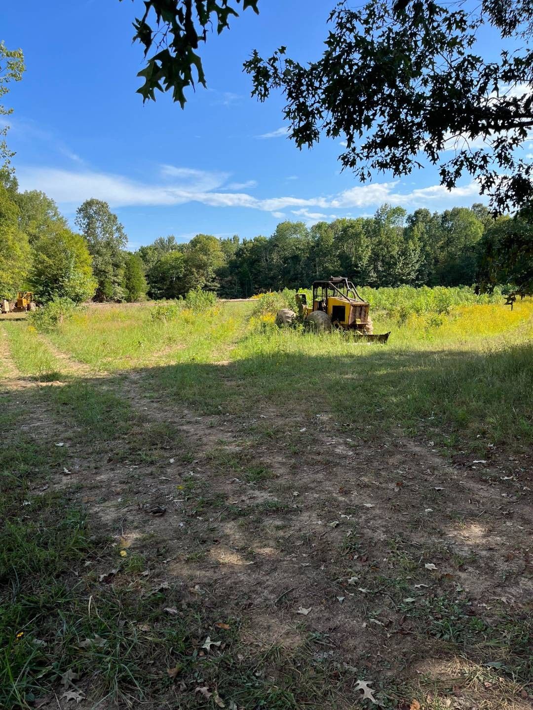 Dunmor, Muhlenberg County, KY Farms and Ranches for sale Property ID