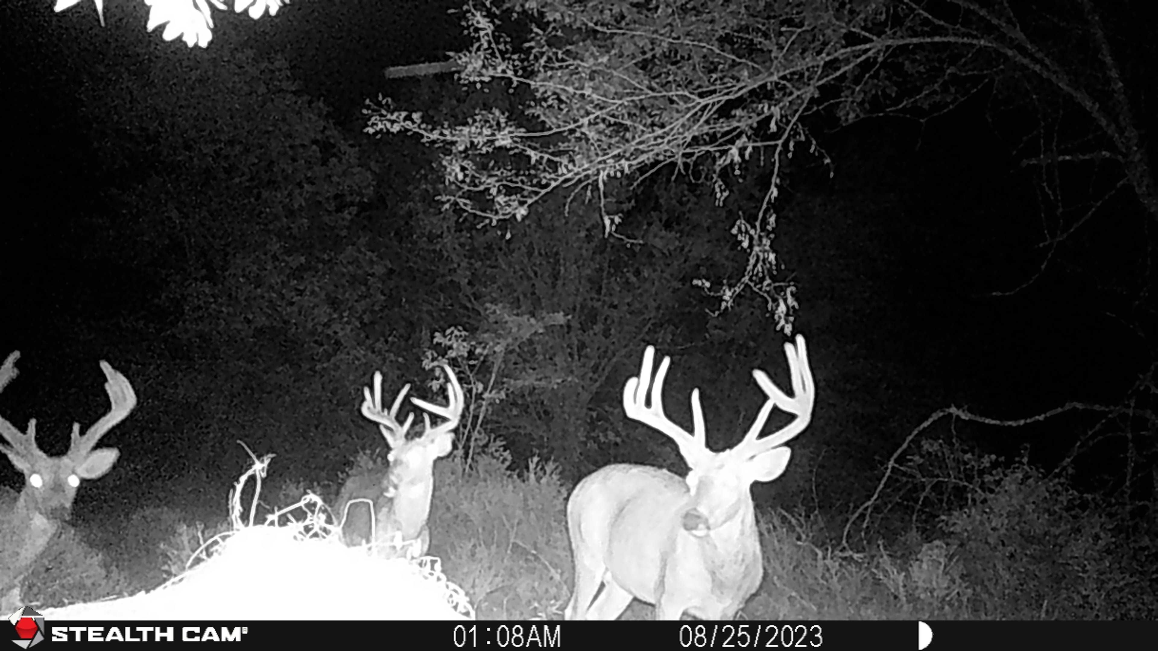 80th Rd, Yates Center, KS 66783 MLS 2453217 LandWatch