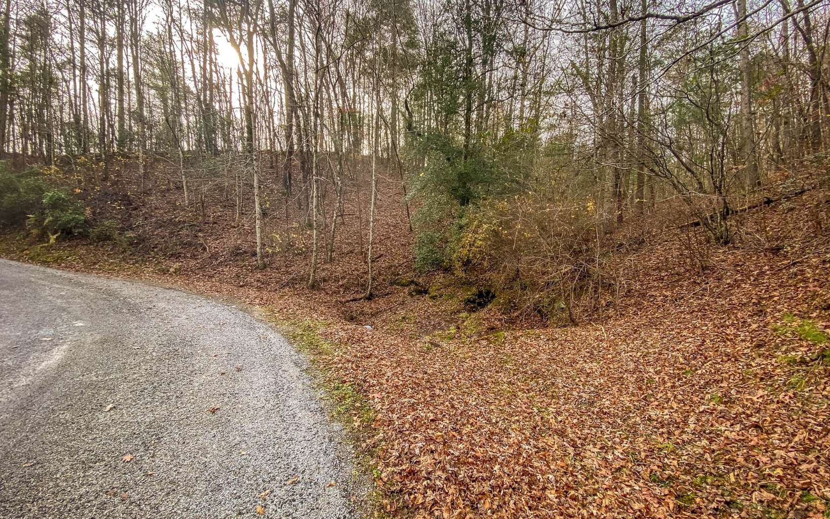 Ellijay, Gilmer County, GA Homesites for sale Property ID 417583798