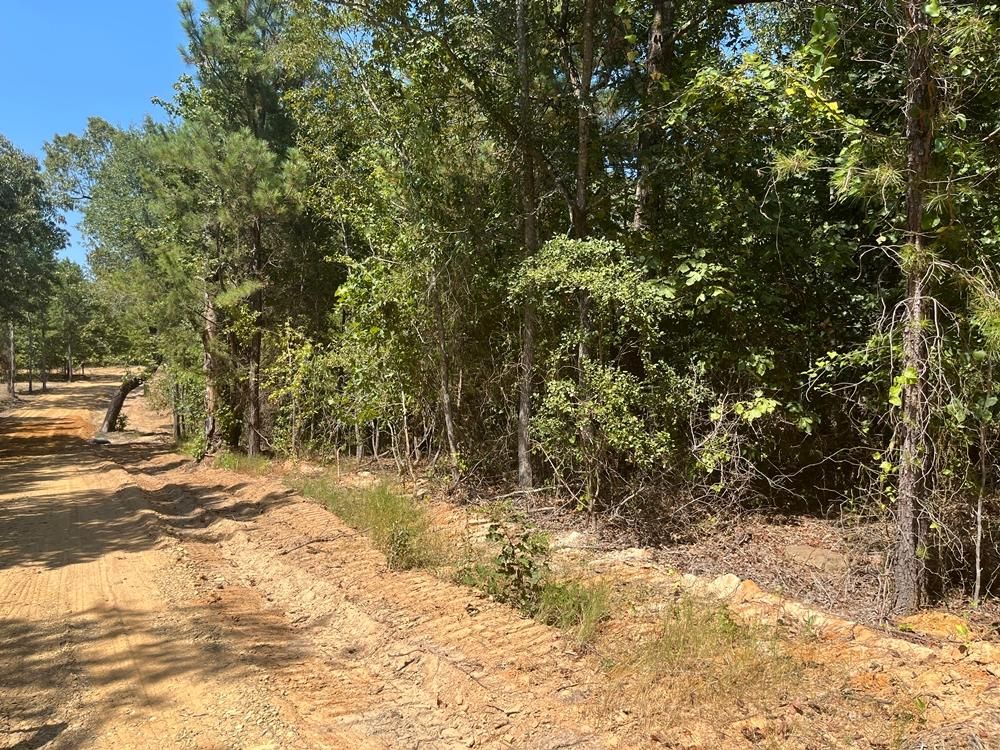 Rattan, Pushmataha County, OK Recreational Property, Homesites for sale