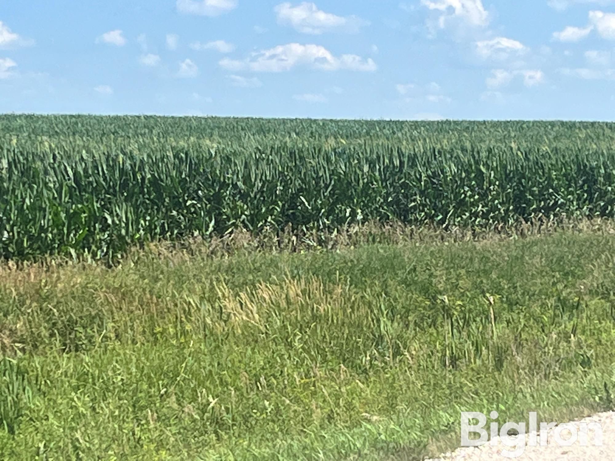 Jesup, Buchanan County, IA Farms and Ranches, Undeveloped Land for