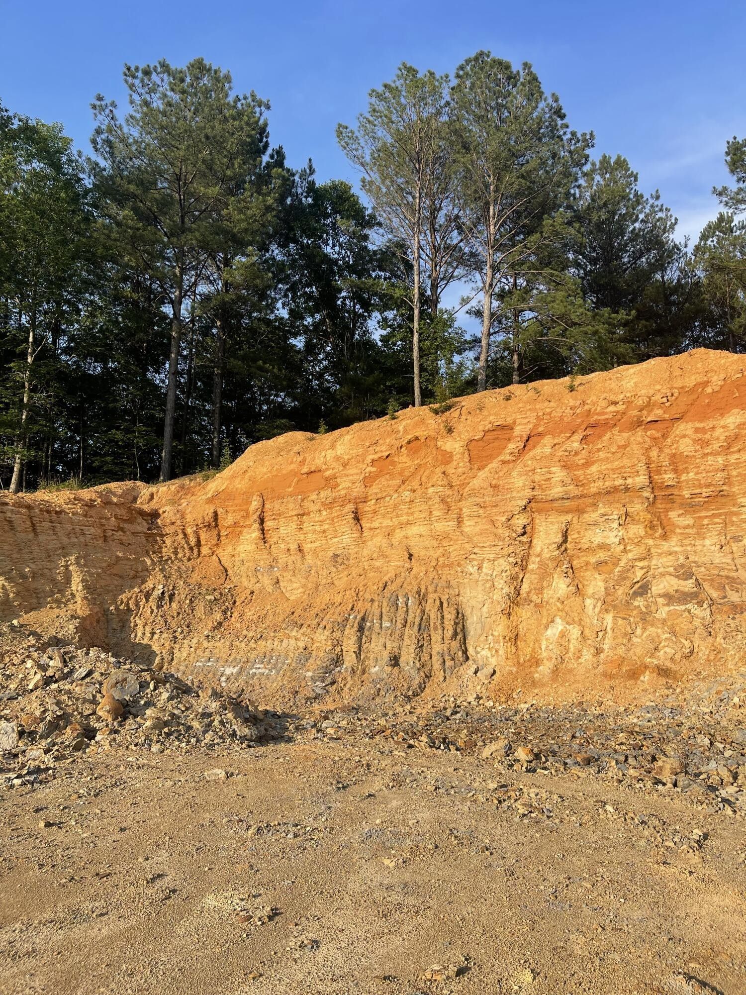 Cordova, Walker County, AL Undeveloped Land for sale Property ID