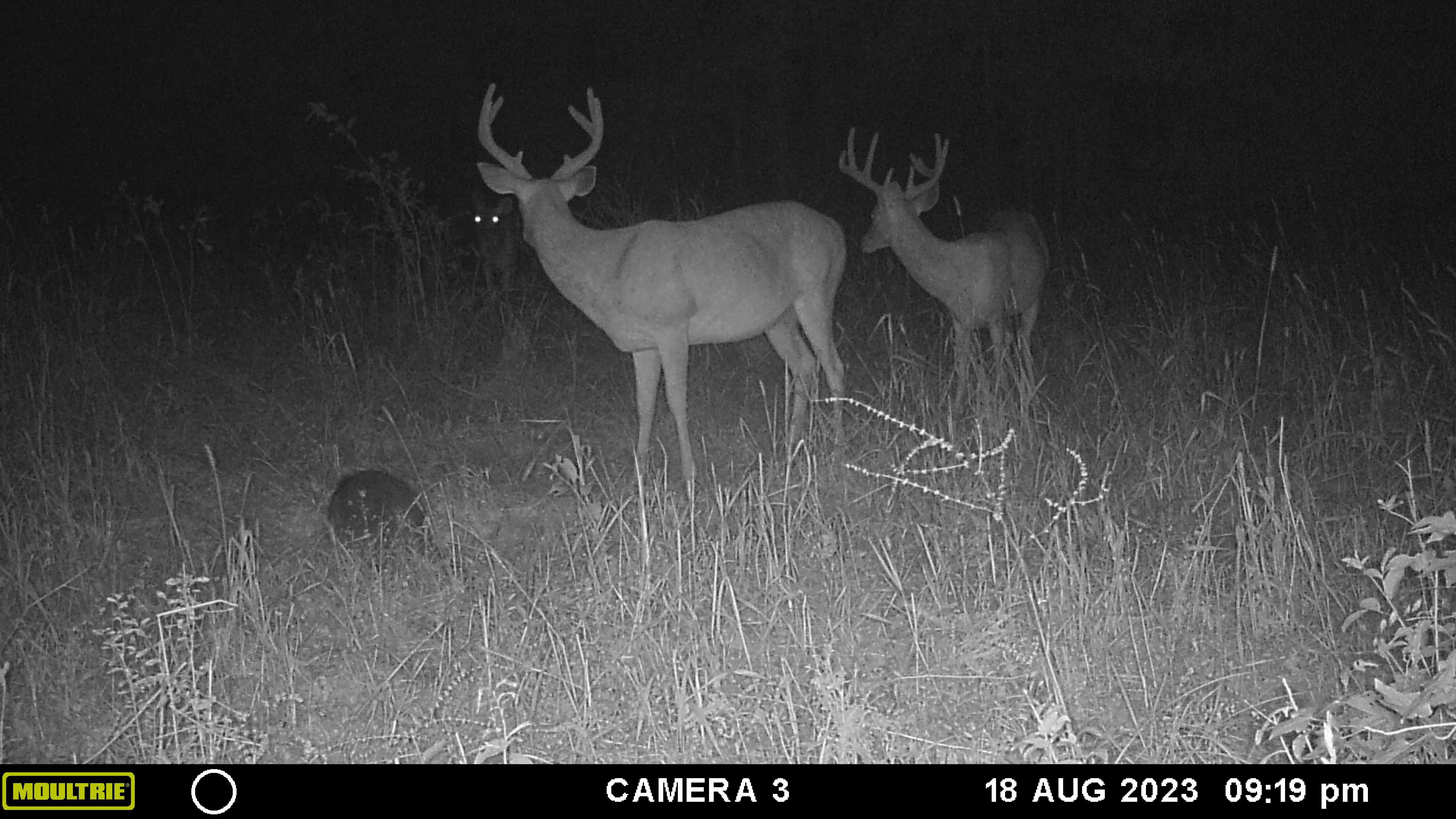 Rawhide Rd, Vicksburg, MS 39183 MLS Warren 392 LandWatch