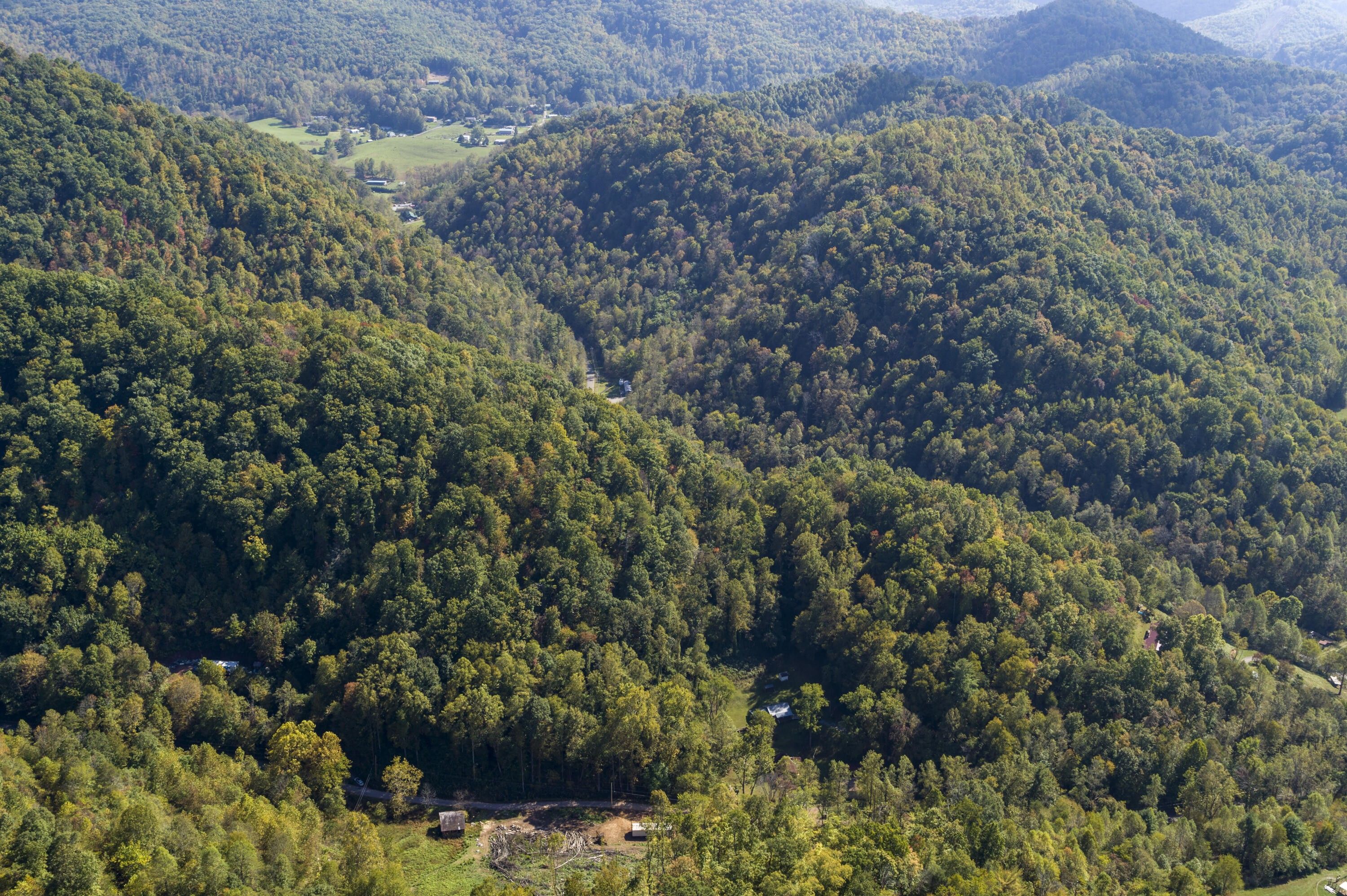 Elizabethton, Carter County, TN Undeveloped Land for sale Property ID