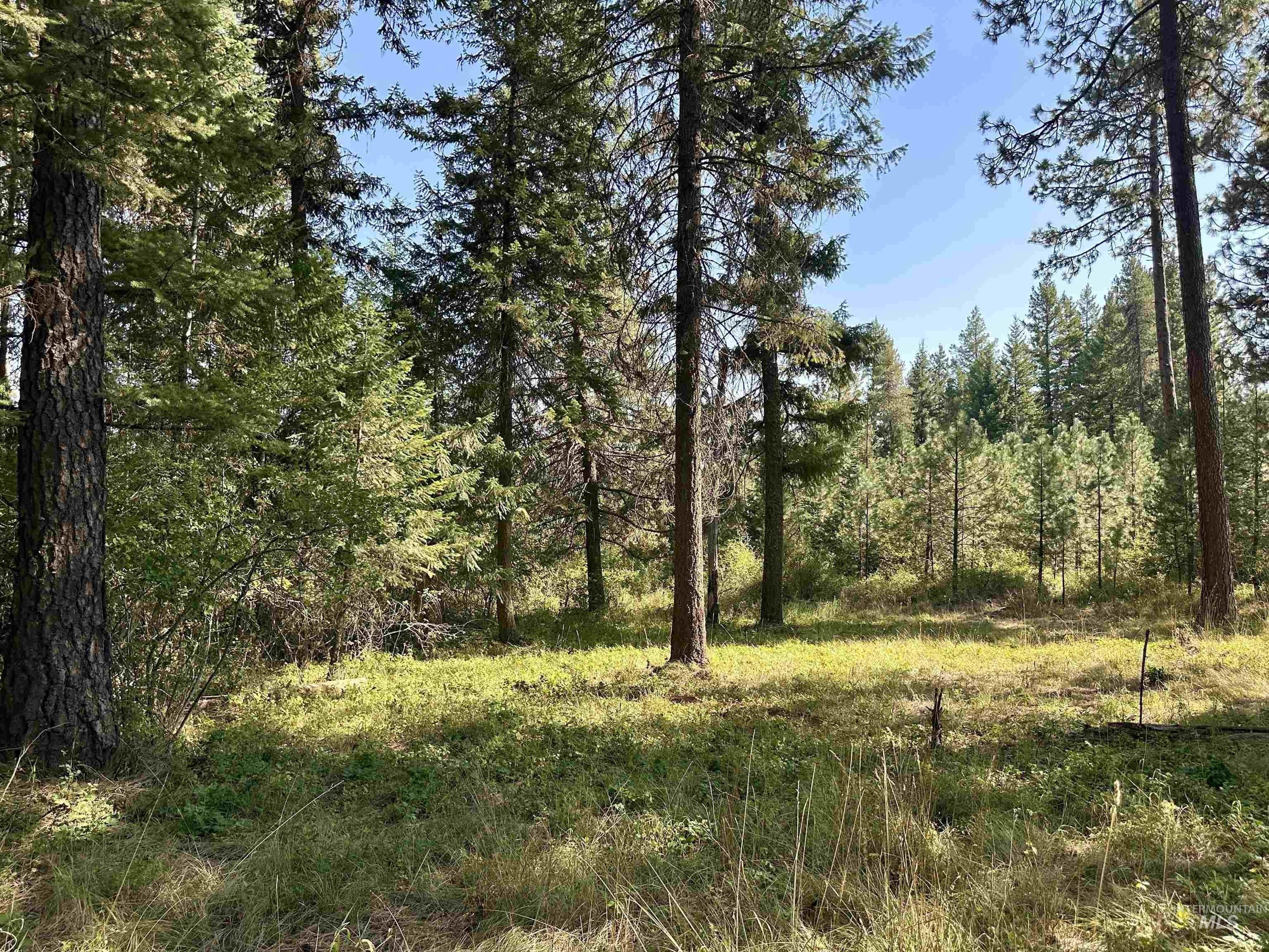 Deary, Latah County, ID Undeveloped Land, Homesites for sale Property ID 417587788 LandWatch