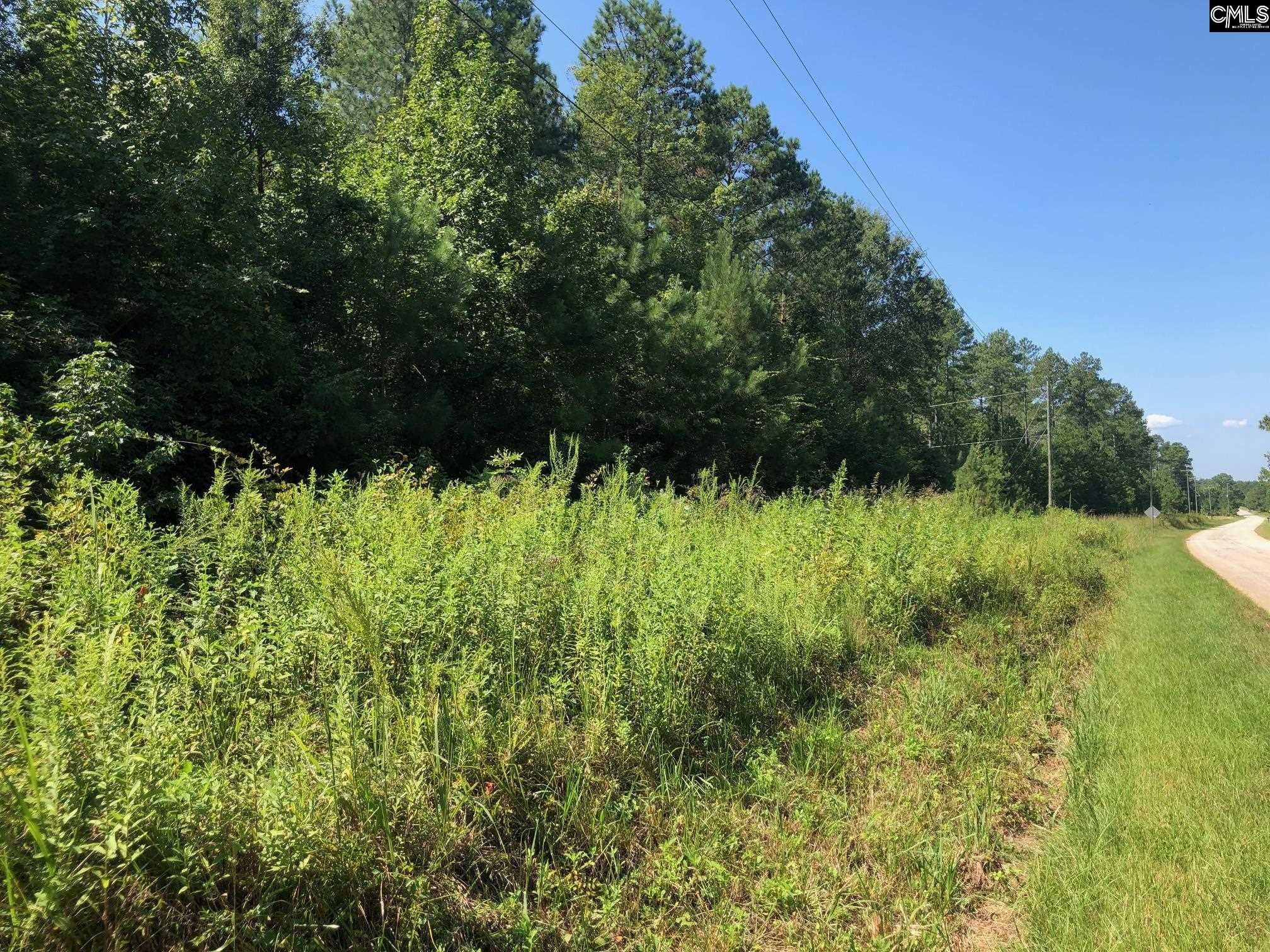 Prosperity, Newberry County, SC Undeveloped Land, Homesites for sale