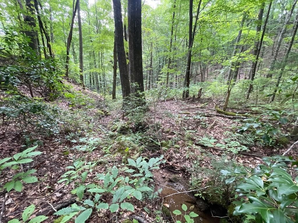 Robbinsville, Graham County, NC Undeveloped Land for sale Property ID