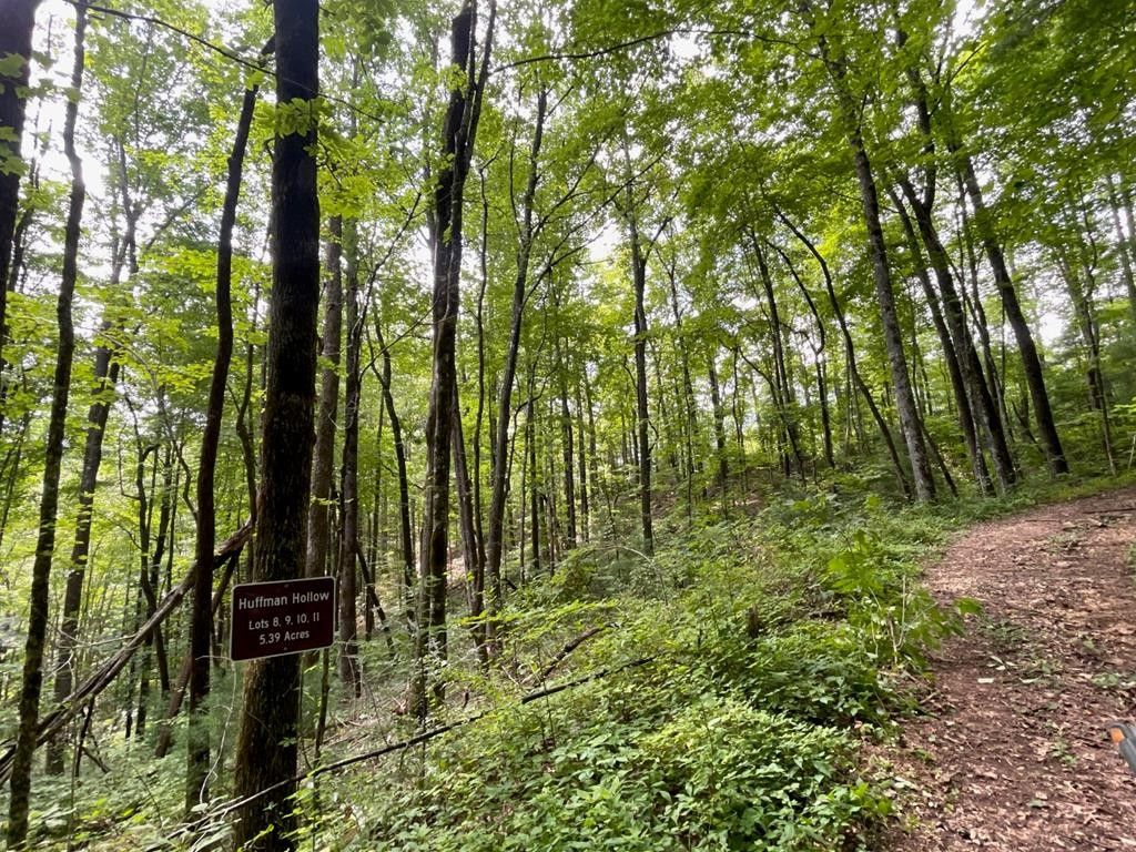 Robbinsville, Graham County, NC Undeveloped Land for sale Property ID