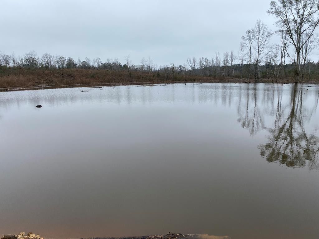 Osyka, Pike County, MS Undeveloped Land, Lakefront Property, Waterfront