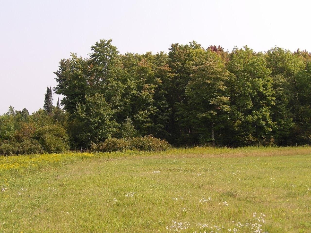 Off GRUHNER RD, Catawba, WI 54515 MLS 203661 LandWatch