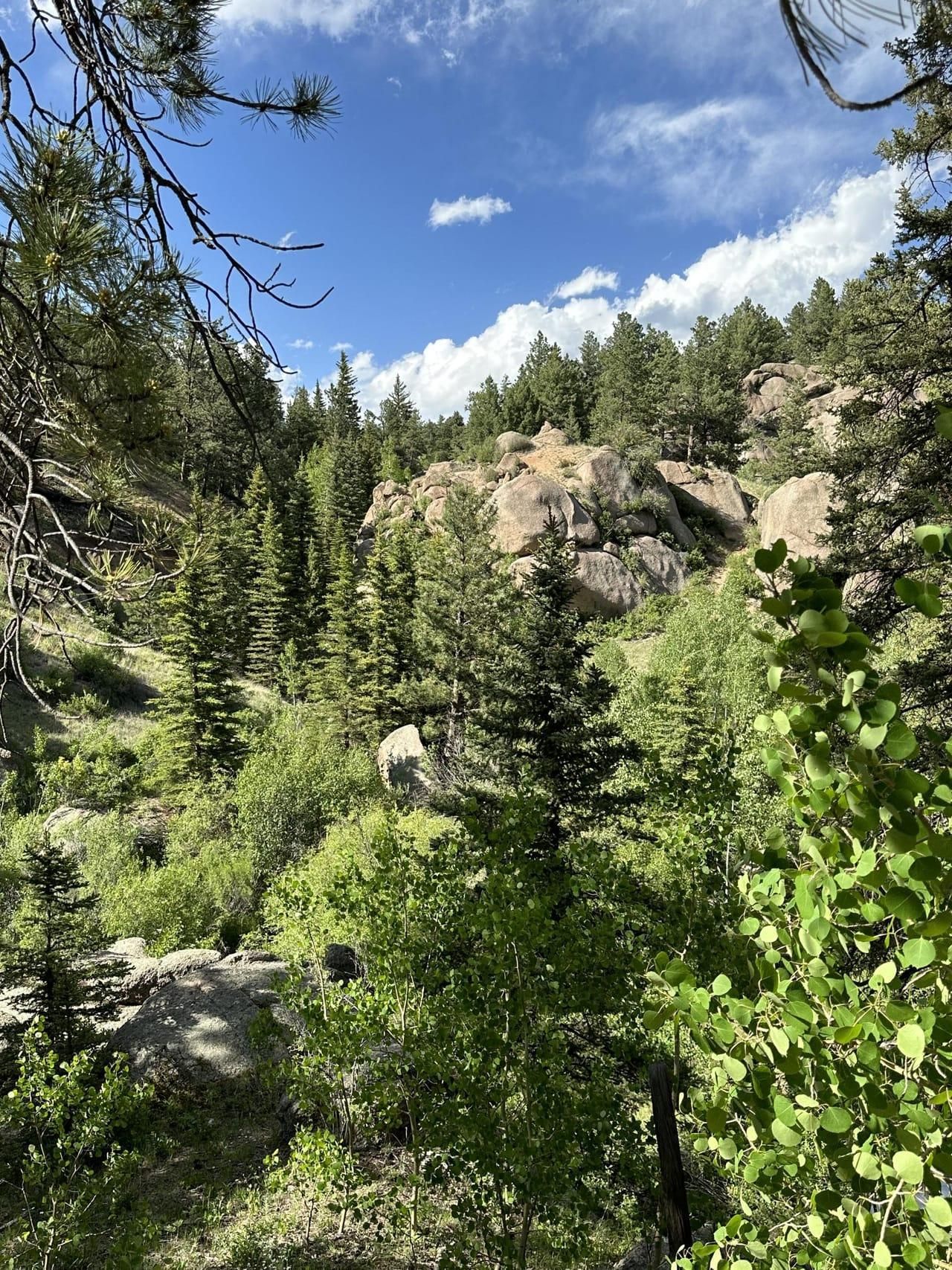 Florissant, Teller County, CO Undeveloped Land for sale Property ID