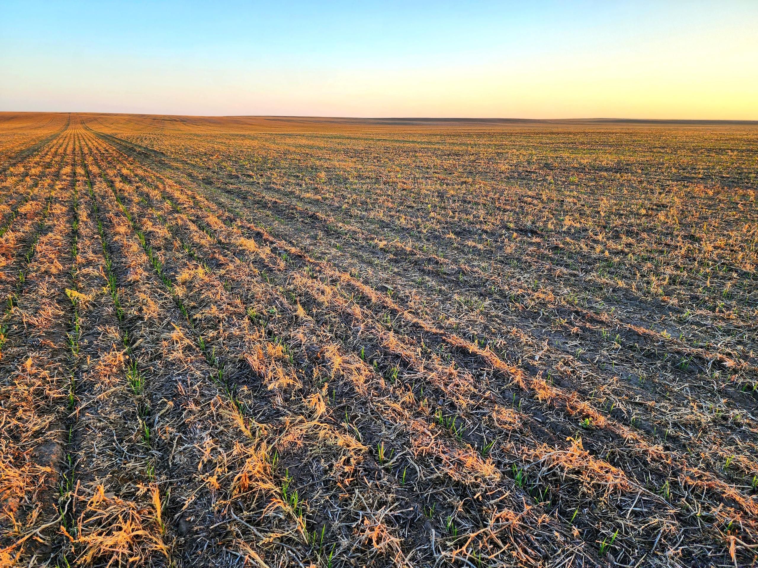 Dix, Kimball County, NE Farms and Ranches, Recreational Property