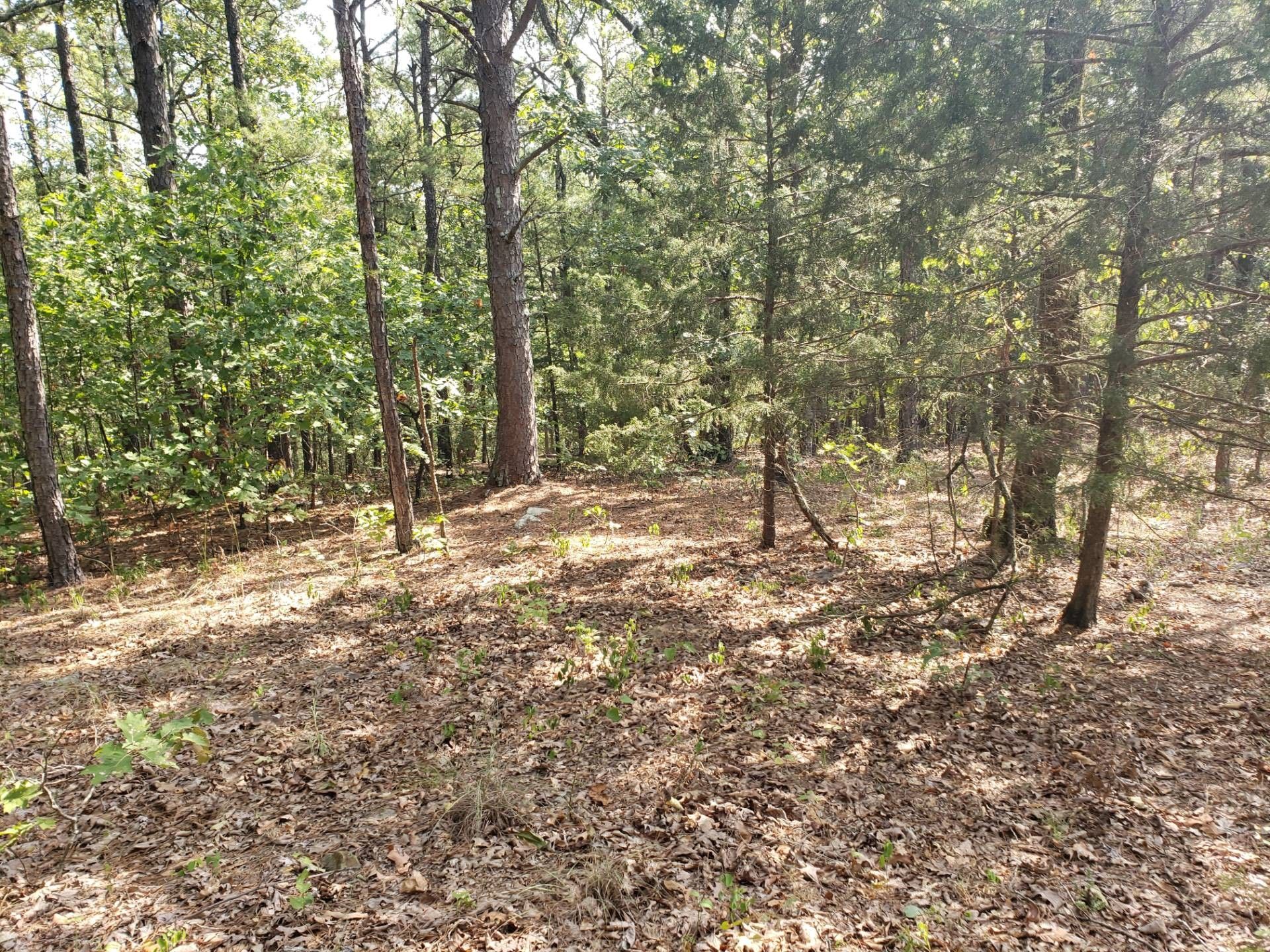 Talihina, Latimer County, OK Undeveloped Land for sale Property ID