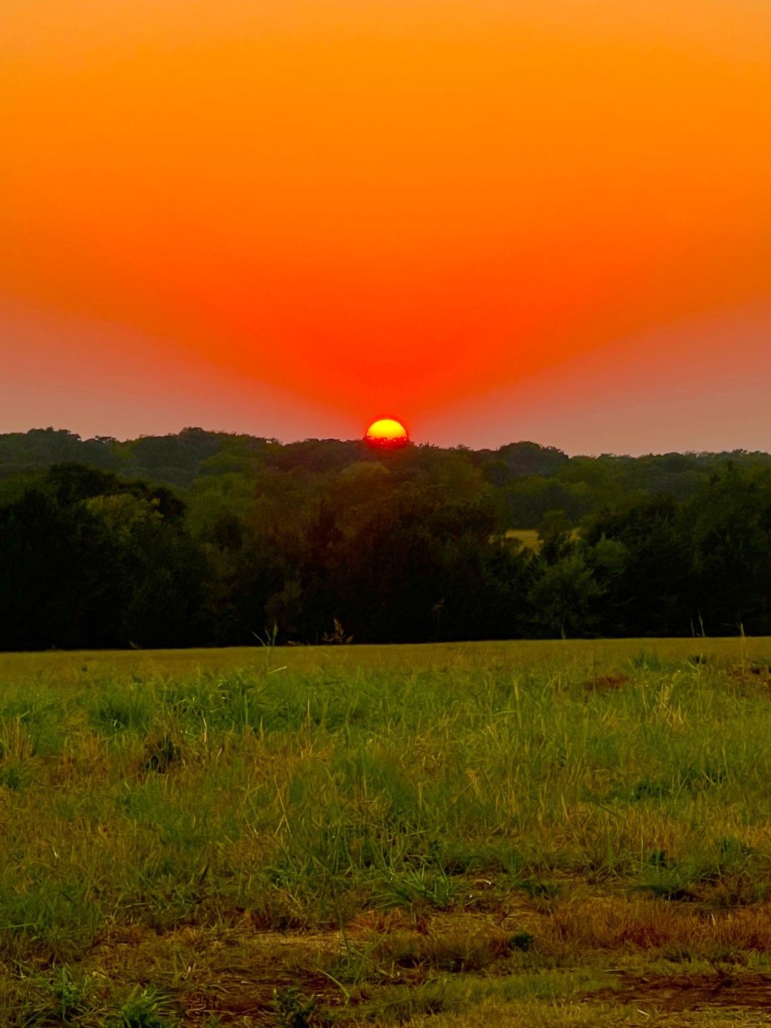 Burneyville, Love County, OK Undeveloped Land, Lakefront Property, Waterfront Property for sale