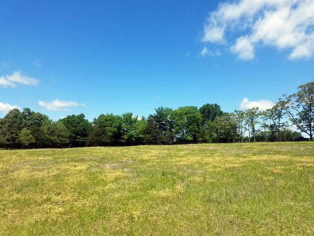 Antlers, Pushmataha County, OK for sale Property ID 417602005 LandWatch