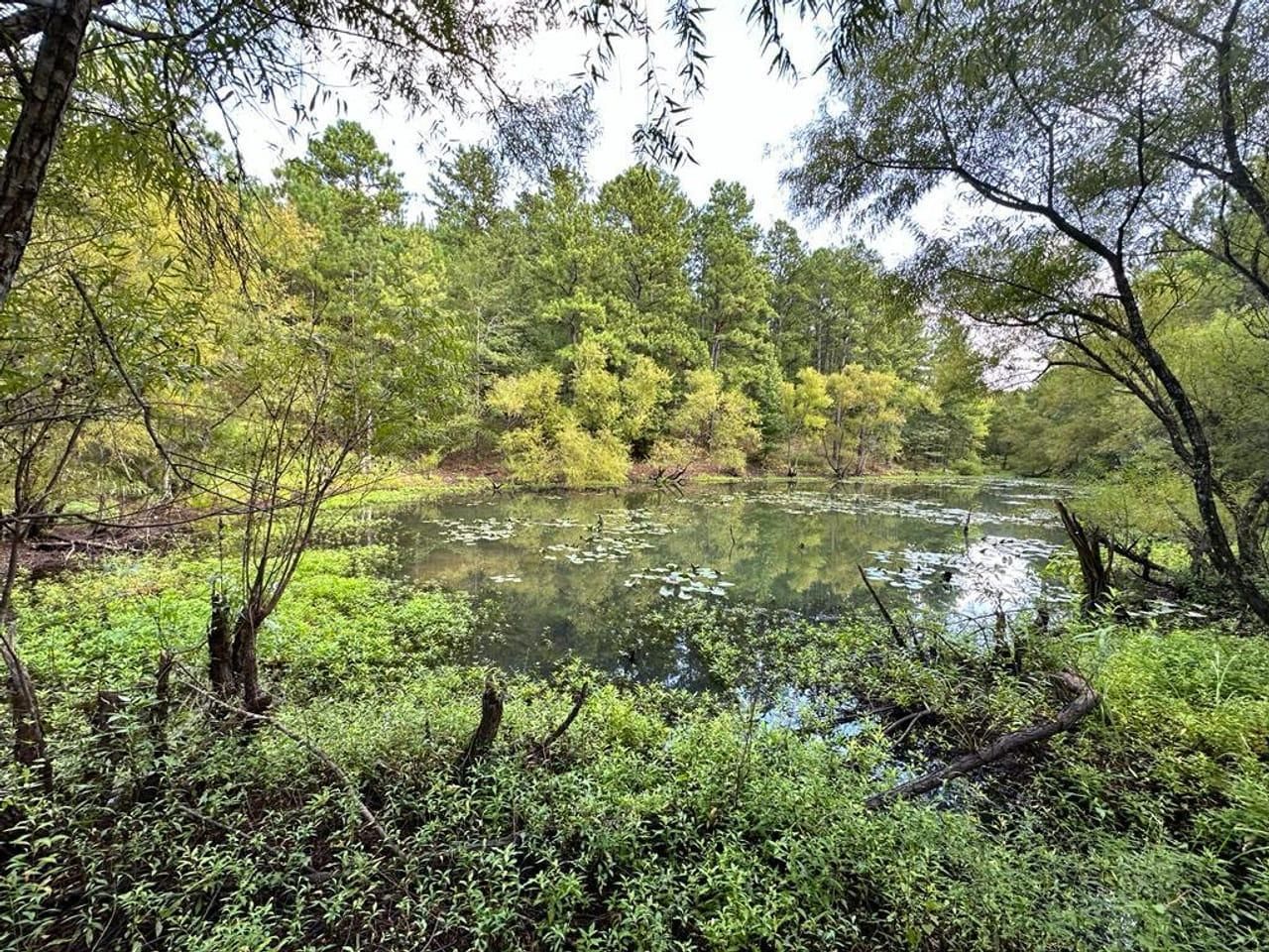 Gardendale, Autauga County, AL Undeveloped Land, House for sale