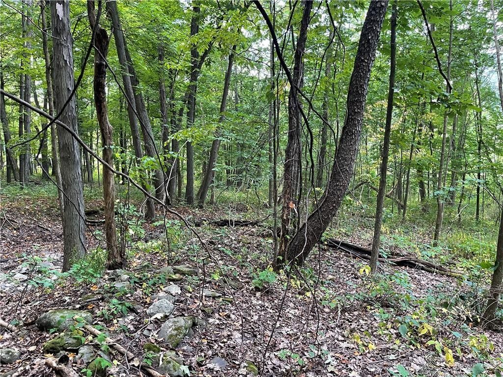 Naples, Yates County, NY Undeveloped Land for sale Property ID