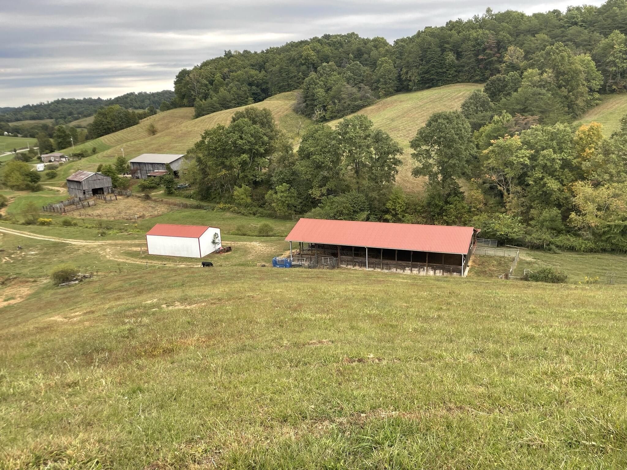Ezel, County, KY Farms and Ranches for sale Property ID