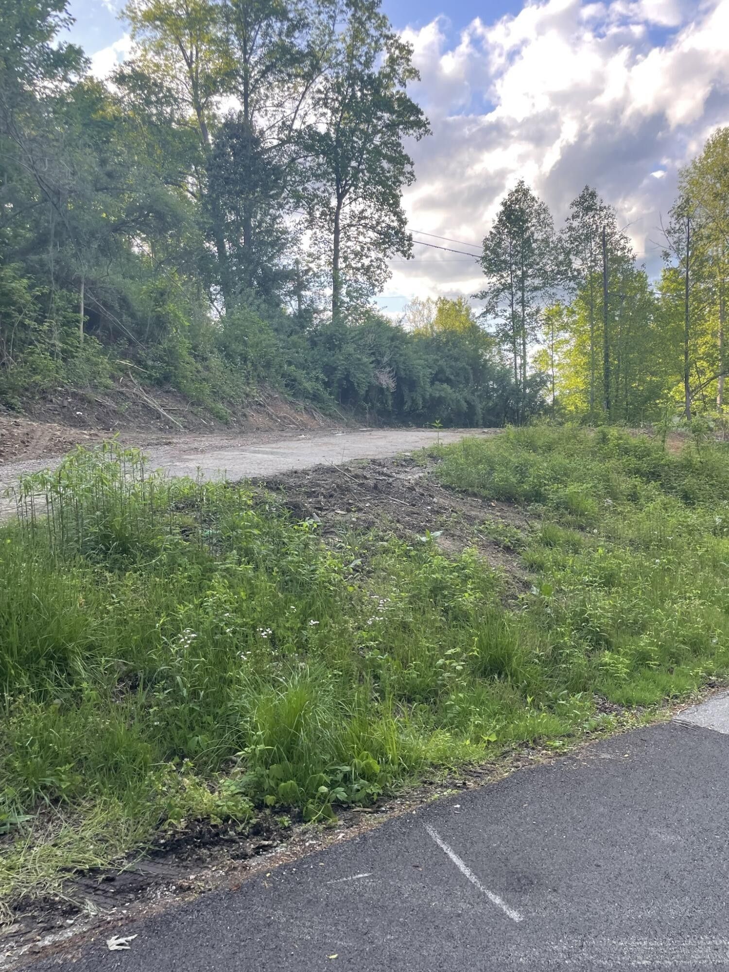 West Liberty, County, KY Undeveloped Land, Homesites for sale