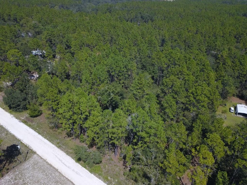 Bell, Gilchrist County, FL Undeveloped Land, Homesites for sale