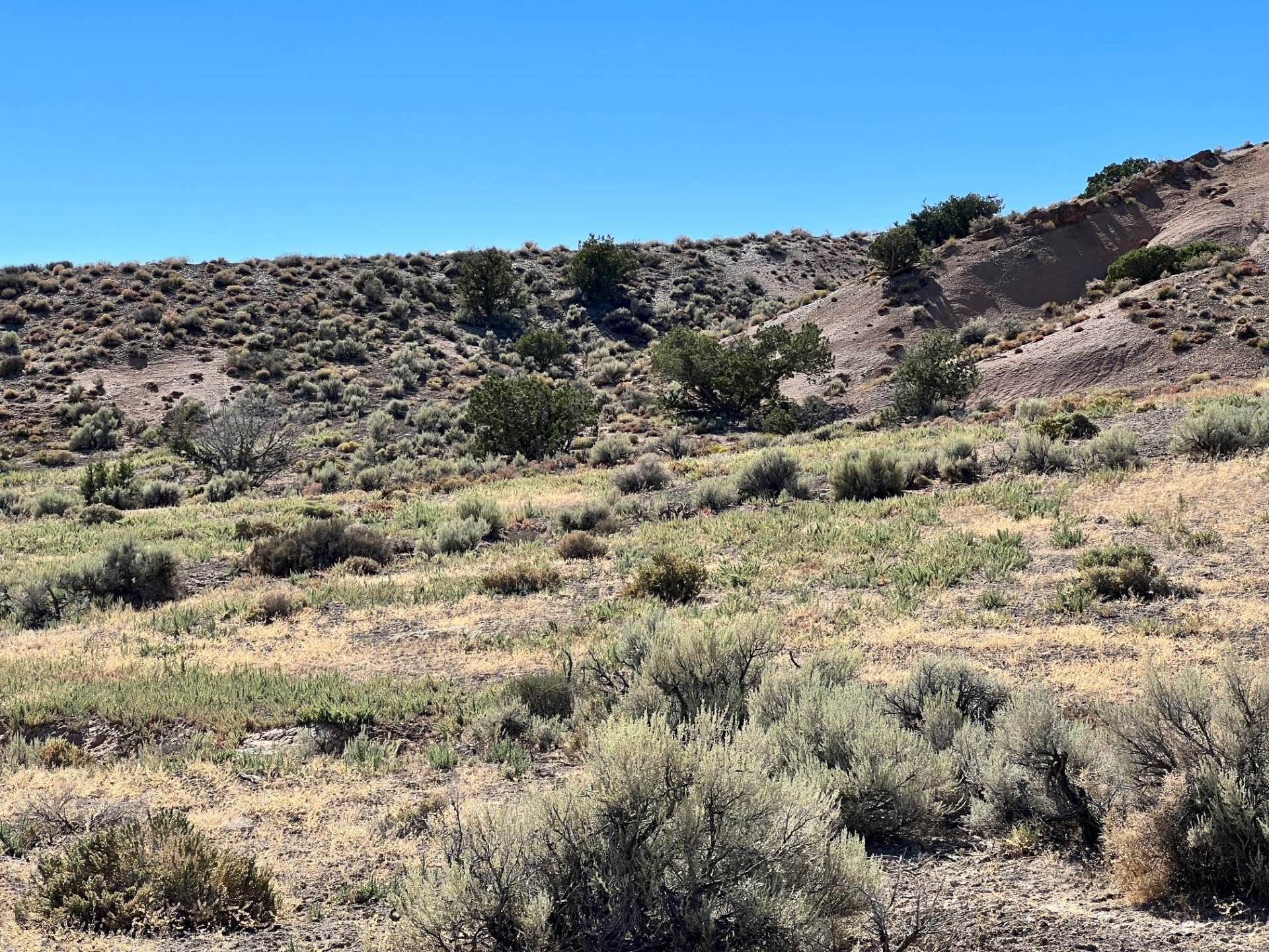 Lovelock, Pershing County, NV Undeveloped Land for sale Property ID