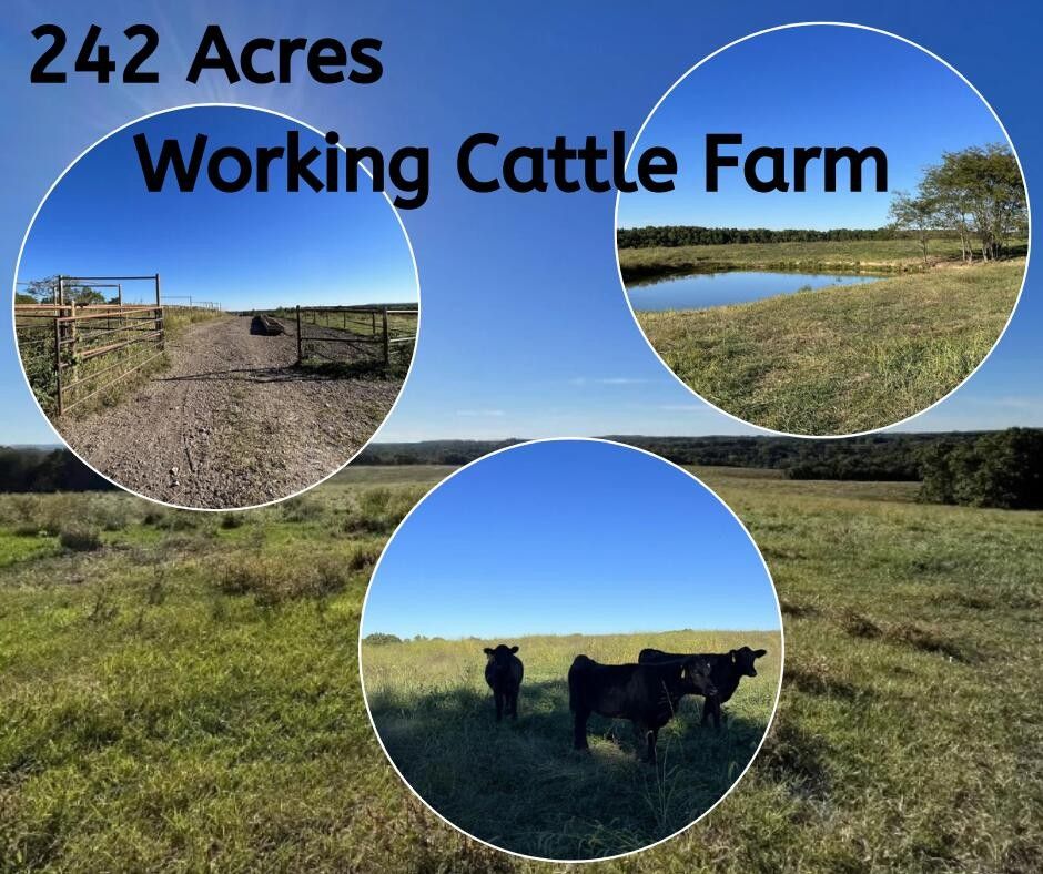 Dora, Ozark County, MO Farms and Ranches for sale Property ID