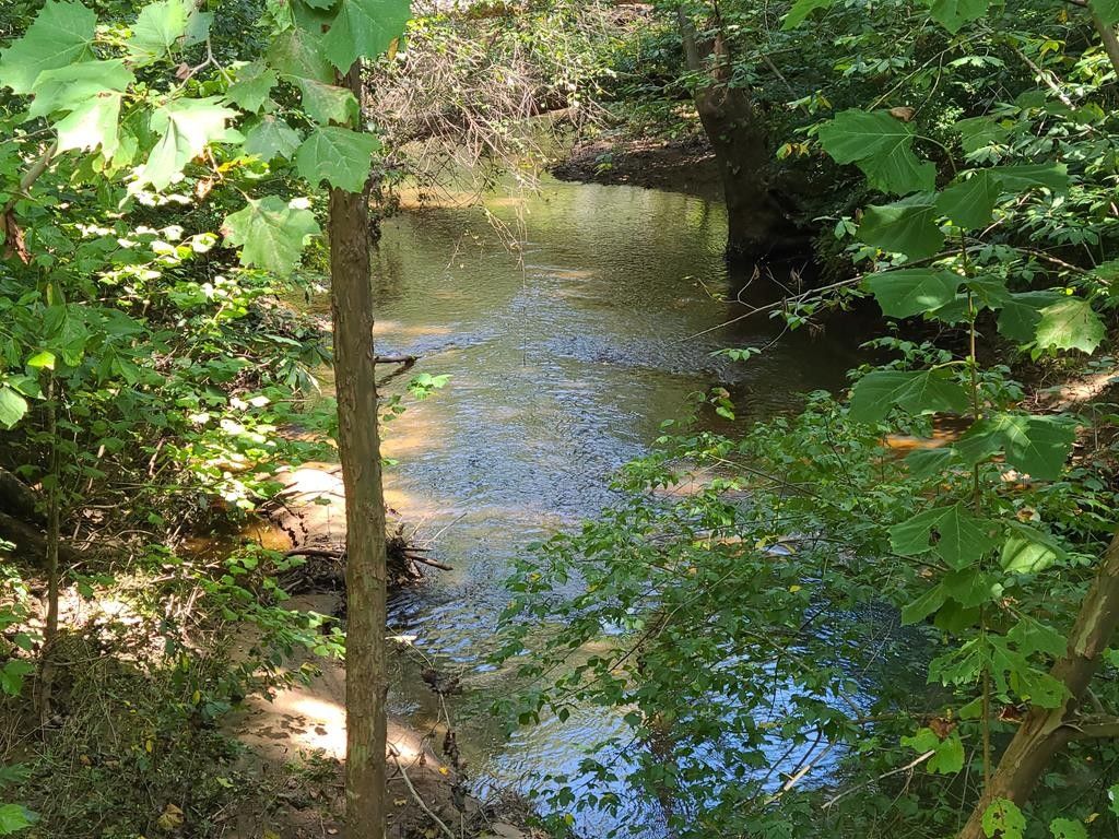 Dillwyn, Buckingham County, VA Undeveloped Land for sale Property ID