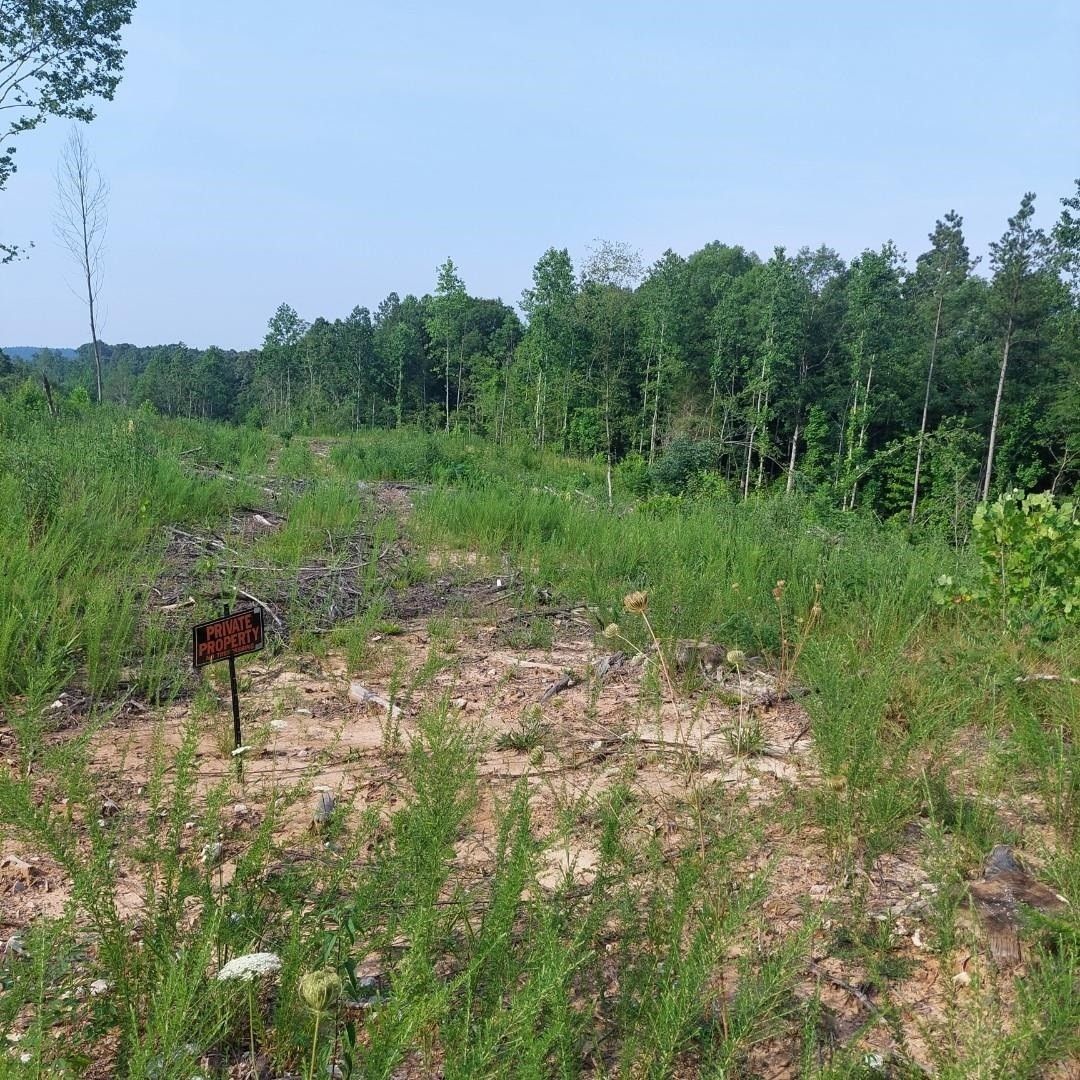 Toone, Hardeman County, TN Undeveloped Land for sale Property ID