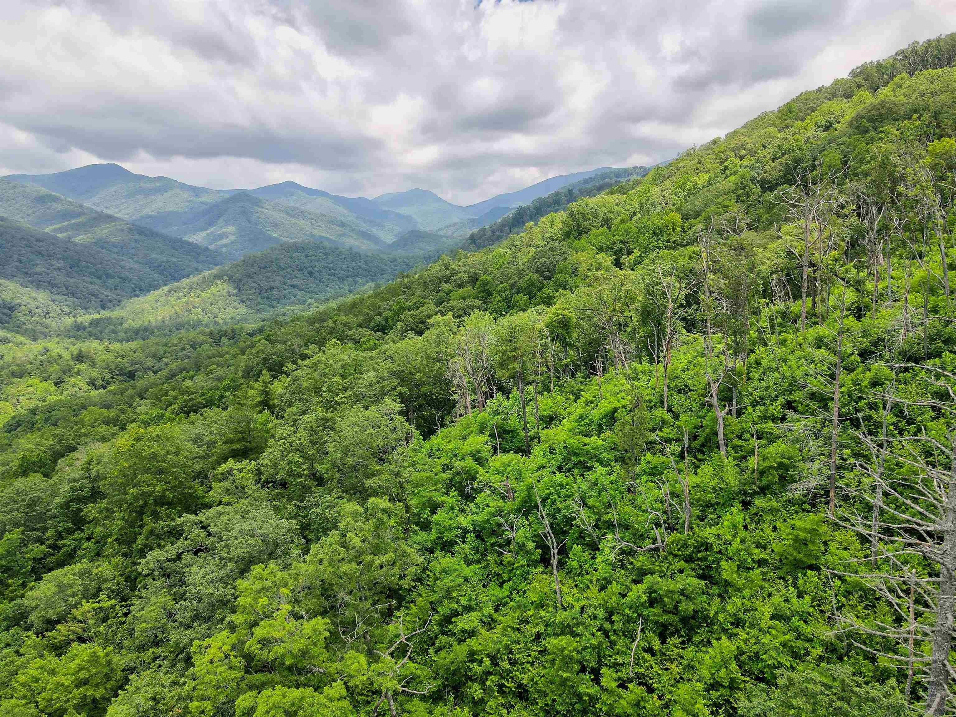 Clayton, Rabun County, GA Farms and Ranches for sale Property ID