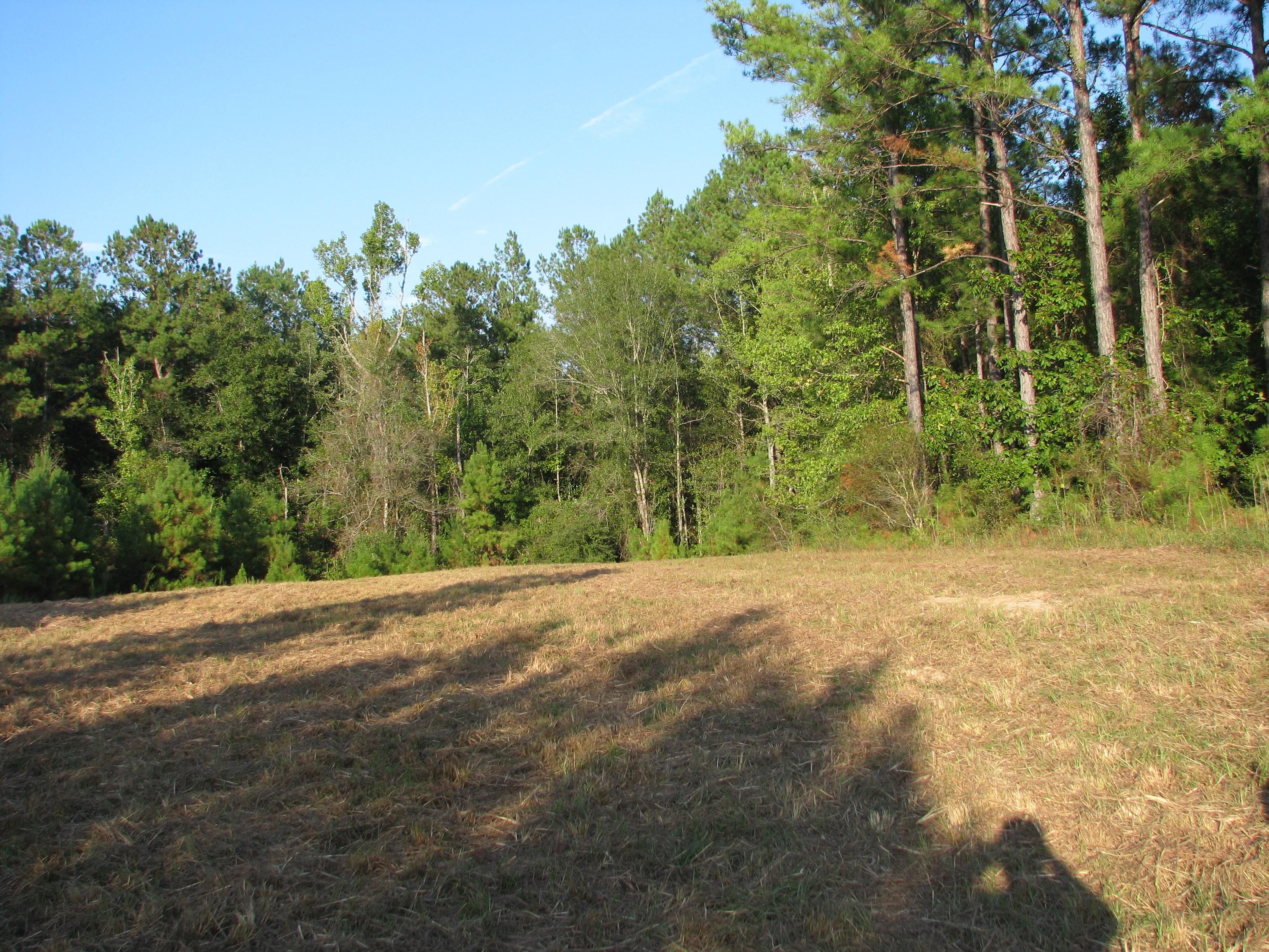 Uriah, Monroe County, AL Recreational Property, Timberland Property, Hunting Property for sale