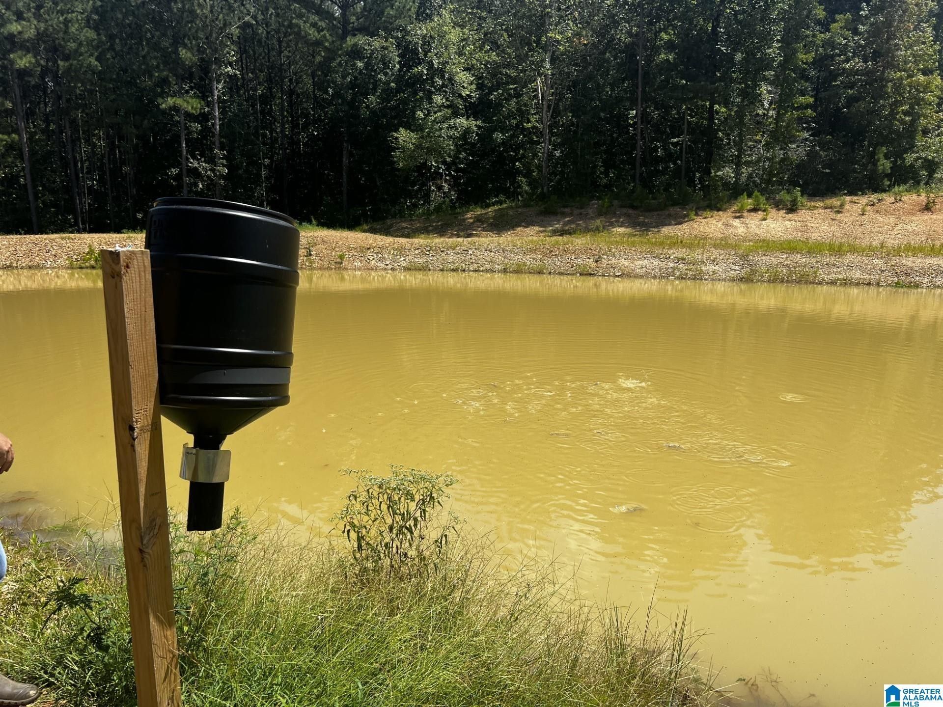 Odenville, Saint Clair County, AL Undeveloped Land for sale Property ID