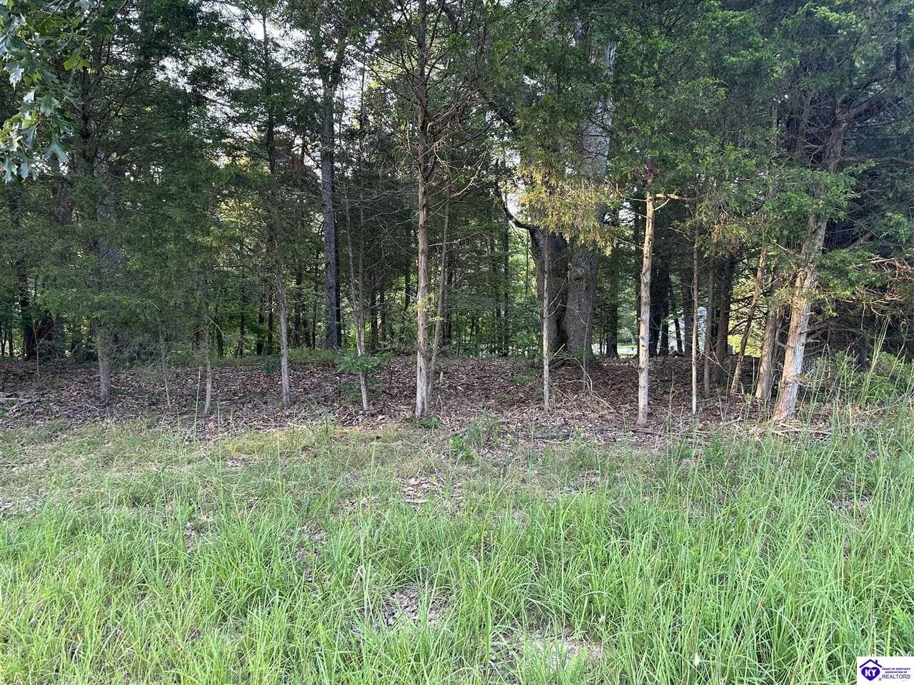 Brandenburg, Meade County, KY Undeveloped Land, Lakefront Property