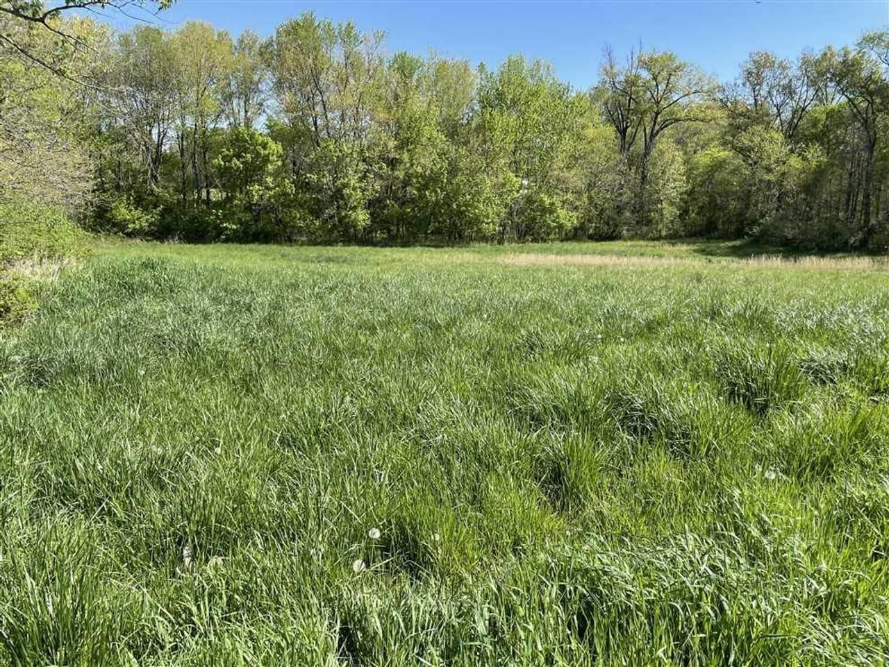 Martinsville, Clark County, IL Recreational Property, Timberland