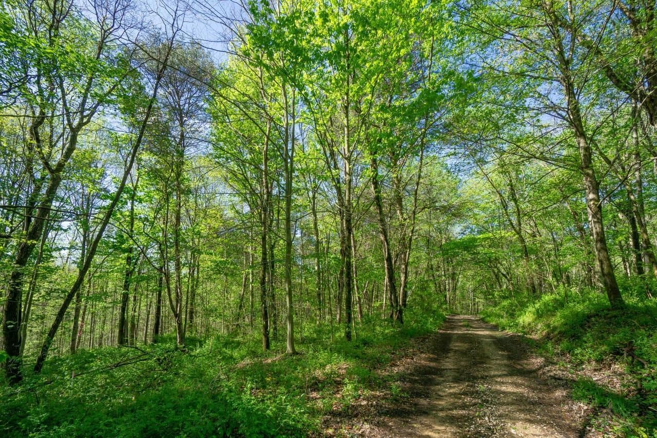 Logan, Hocking County, OH Recreational Property, Hunting Property