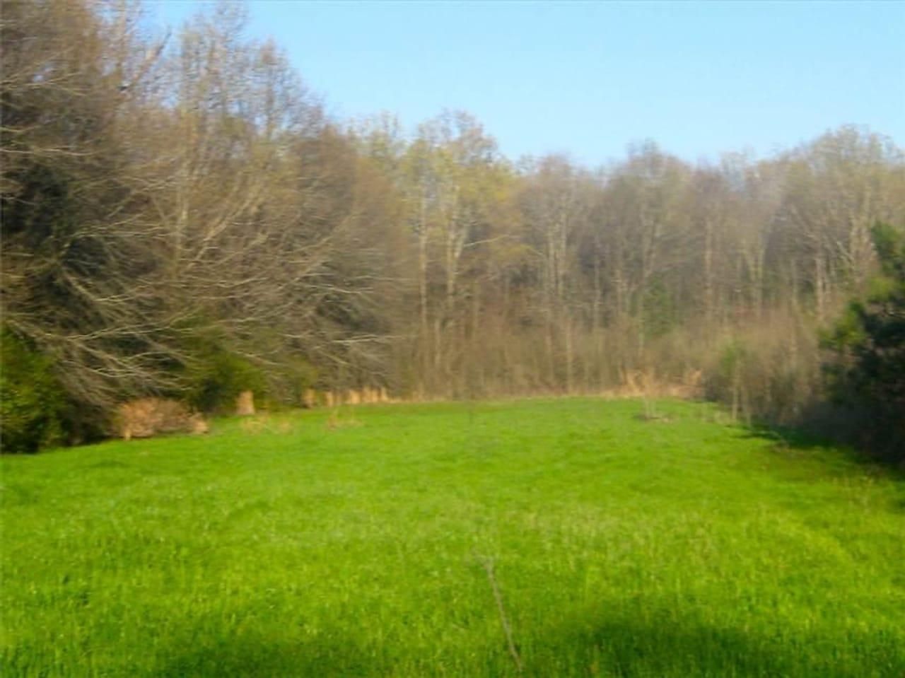 Hwy 411, Oak Grove, LA 71263 LandWatch