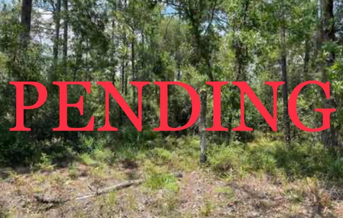 Citrus Springs, Citrus County, FL Recreational Property, Undeveloped Land, Homesites for sale