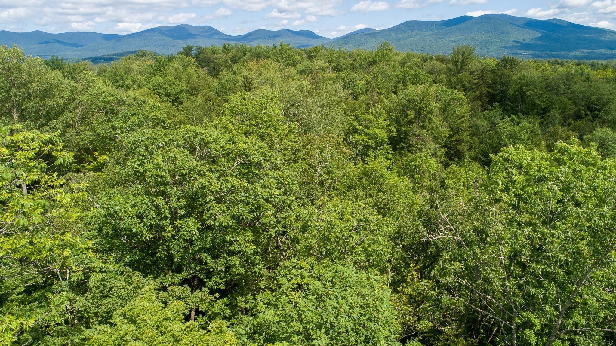 Lancaster, Coos County, NH Undeveloped Land for sale Property ID