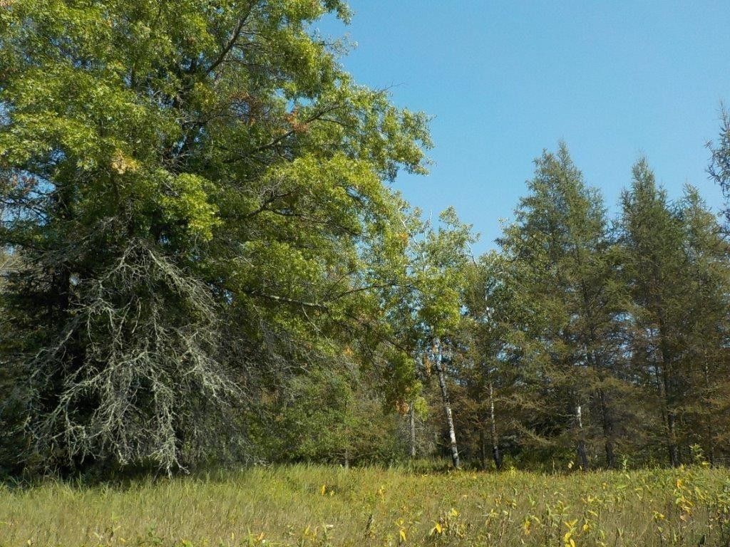 ster, County, WI Undeveloped Land for sale Property ID