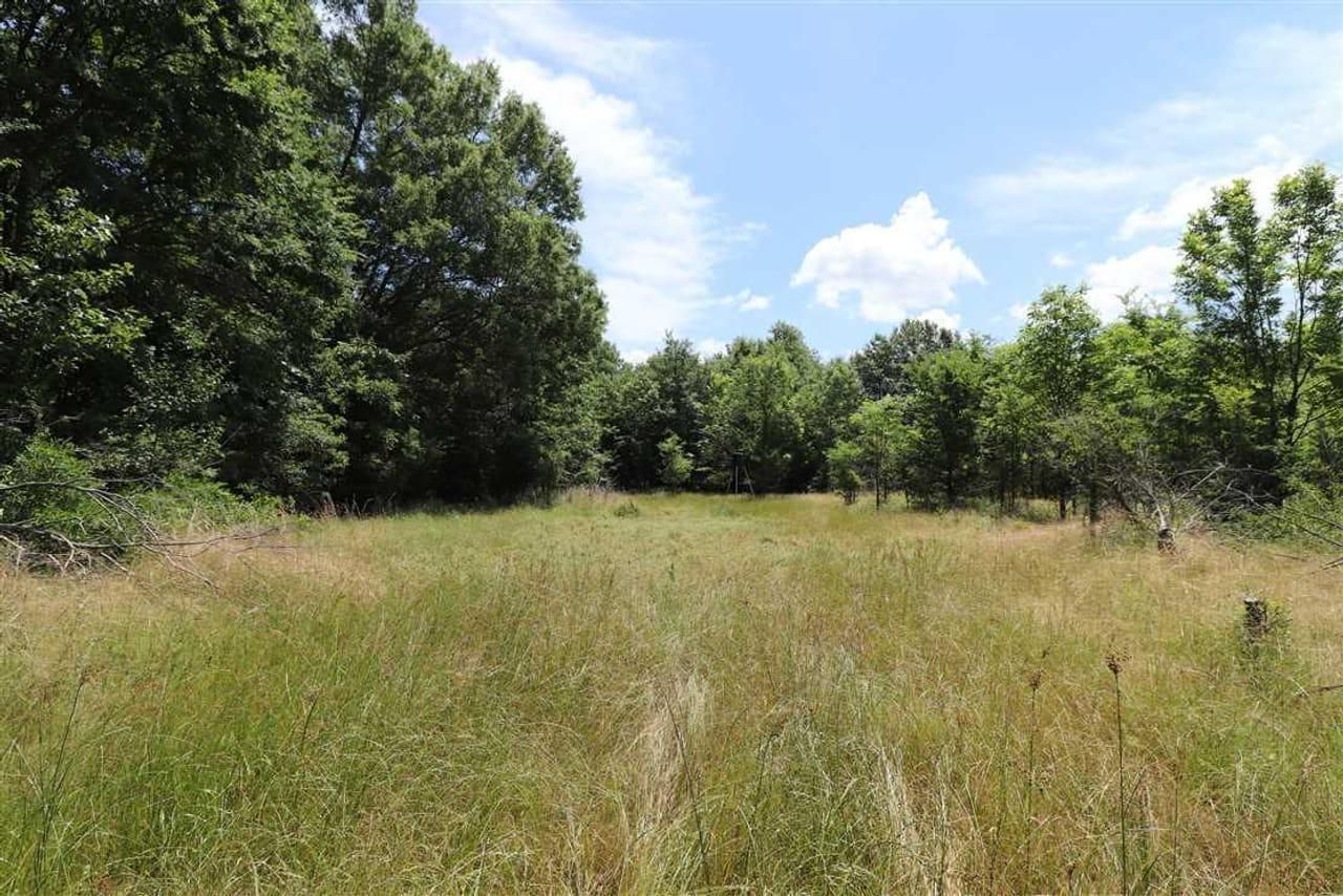 Des Arc, Prairie County, AR Recreational Property, House for sale