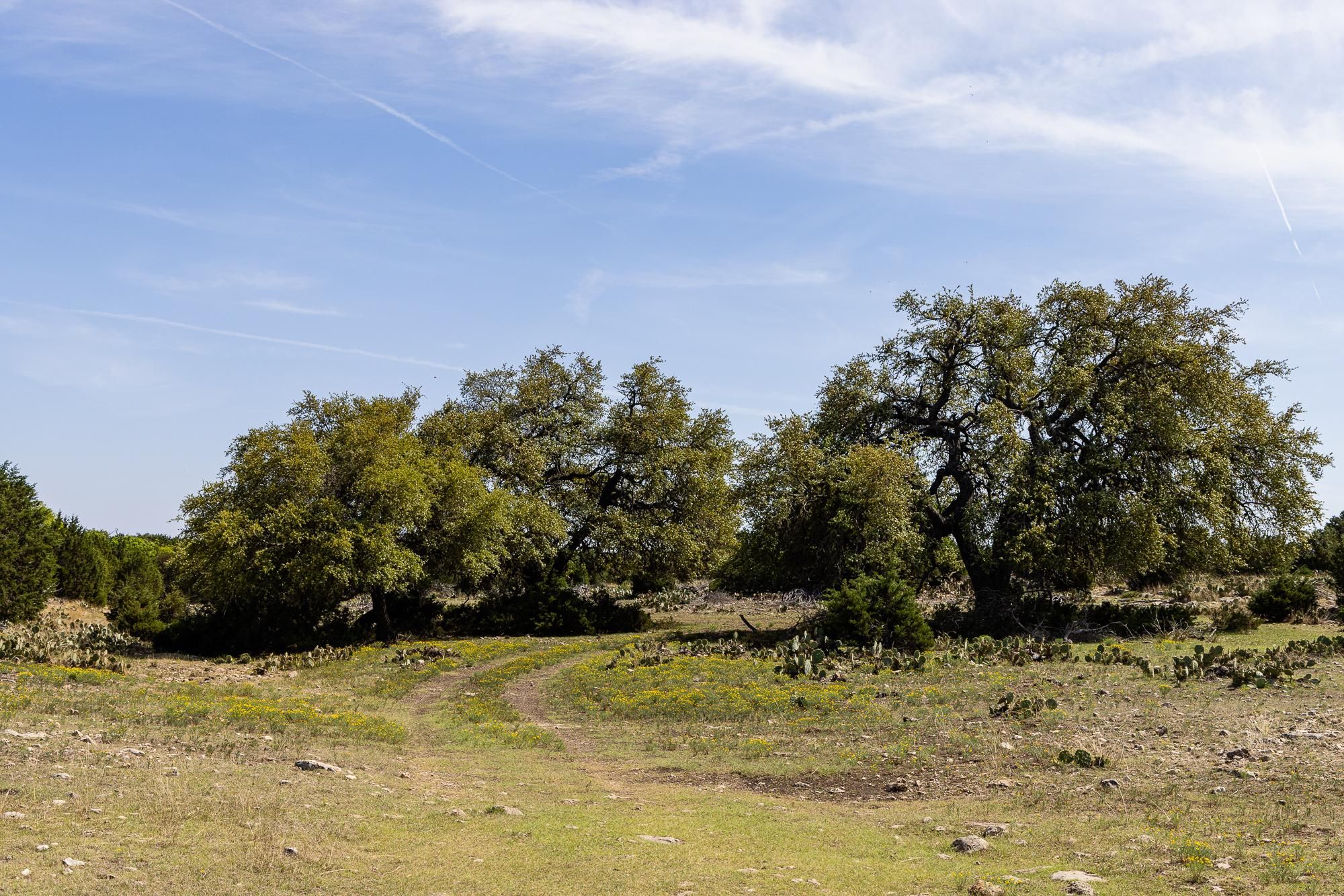 Highway 377 N, Rocksprings, TX 78880 LandWatch