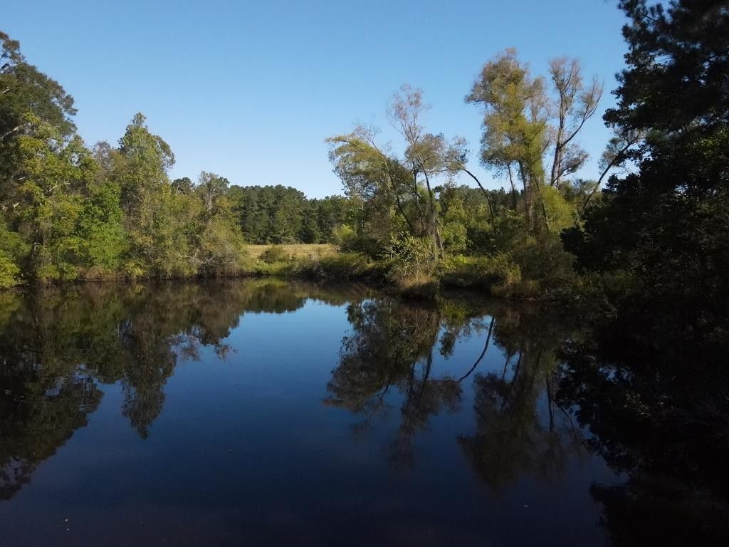 Clinton, East Feliciana Parish, LA Undeveloped Land for sale Property