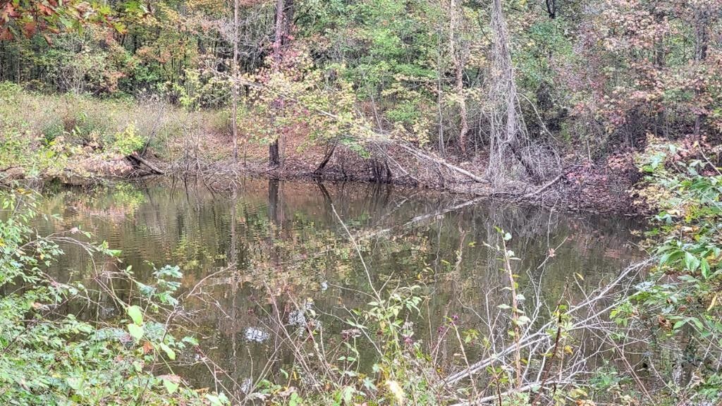 Natchez, Adams County, MS Undeveloped Land for sale Property ID