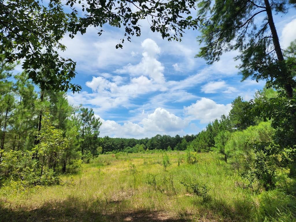 Crosby, Wilkinson County, MS Undeveloped Land for sale Property ID