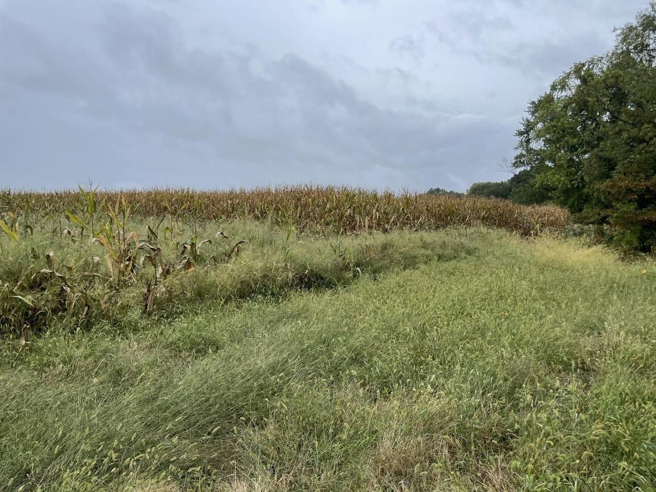 Martinsville, Clark County, IL Farms and Ranches, Recreational Property