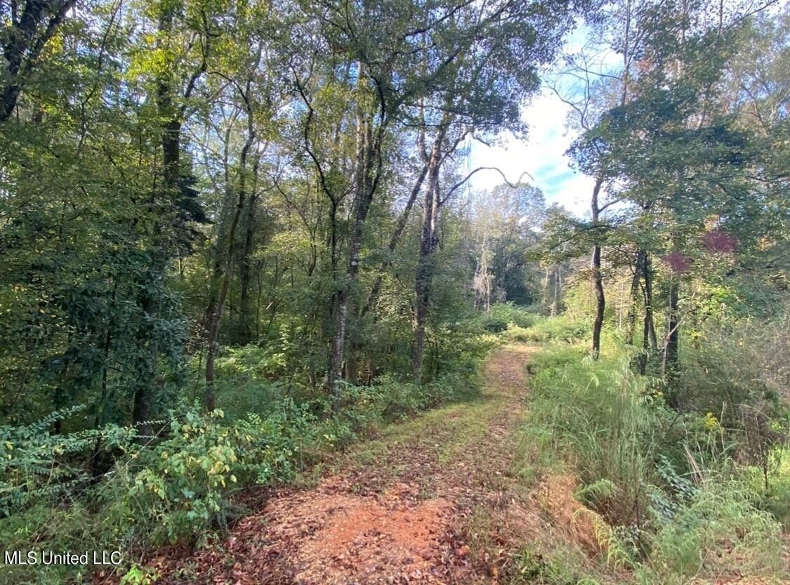 Prentiss, Jefferson Davis County, MS Undeveloped Land, Lakefront